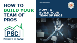 Building your team of Pros